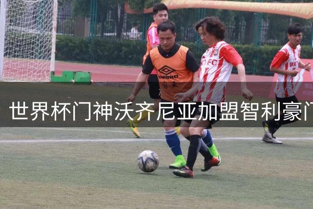 世界杯门神沃齐尼亚加盟智利豪门 获特殊特许印绰号球衣