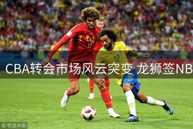 CBA转会市场风云突变 龙狮签NBA中锋 宏远陷内线危机